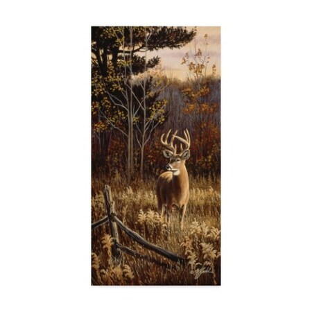 Trademark Fine Art Wilhelm Goebel 'Autumn Whitetail' Canvas Art, 24x47 ALI33886-C2447GG